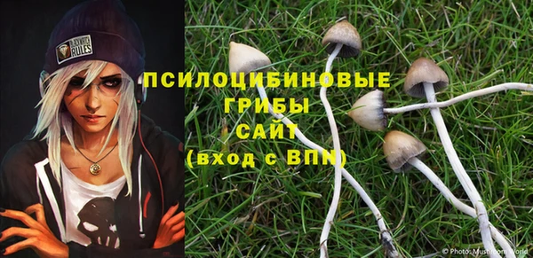 кокс Армянск