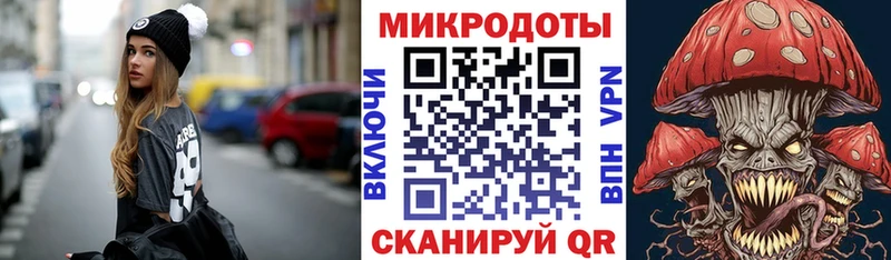 кракен   Можга  Галлюциногенные грибы Psilocybe 